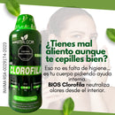 CLORIFILA Vitalcom 1000 ml - El verde natural que fortalece tu inmunidad y te hace brillar