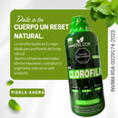 CLORIFILA Vitalcom 1000 ml - El verde natural que fortalece tu inmunidad y te hace brillar