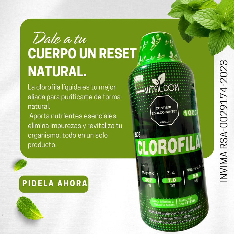 CLOROFILA La bebida verde que fortalece tu inmunidad y te hace brillar
