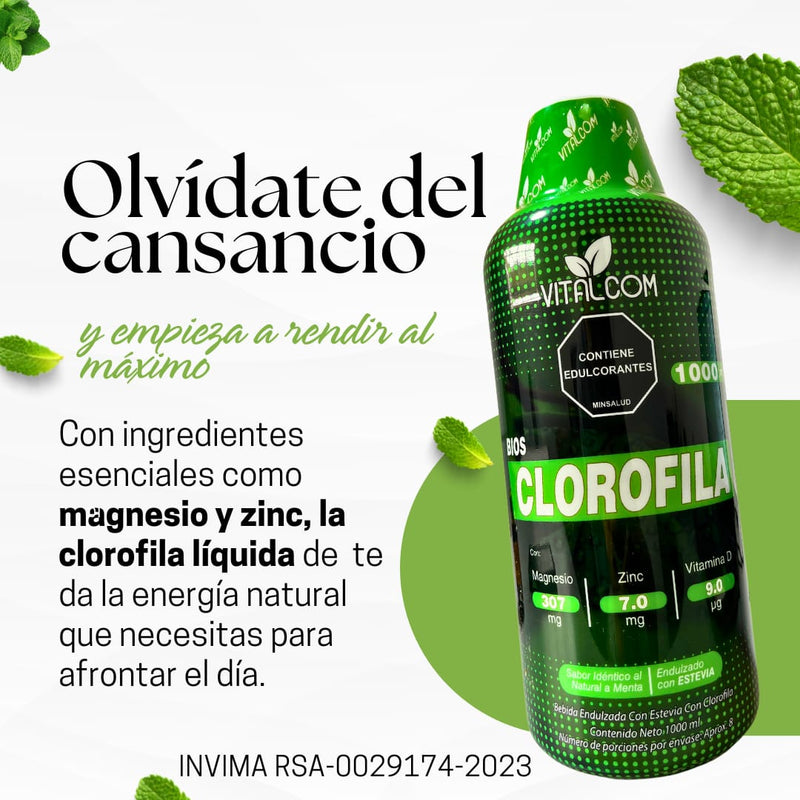 CLOROFILA La bebida verde que fortalece tu inmunidad y te hace brillar