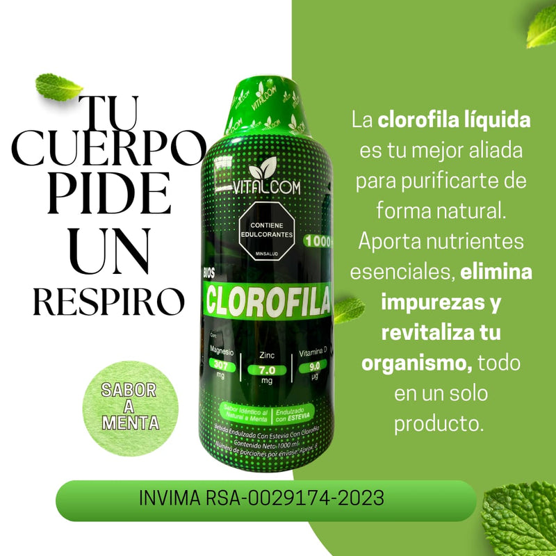 CLOROFILA La bebida verde que fortalece tu inmunidad y te hace brillar