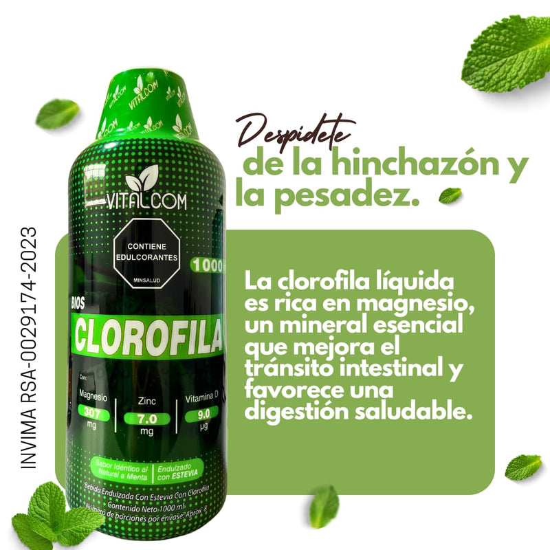 CLOROFILA La bebida verde que fortalece tu inmunidad y te hace brillar